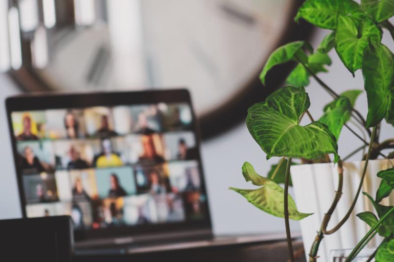 An online meeting. Computer screen with small squares all blurred 